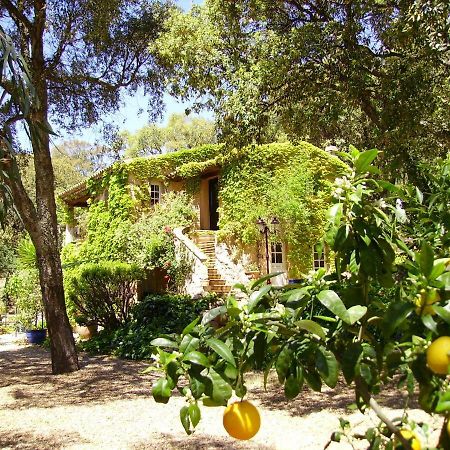 Le Bastidon Saint-Michel Bed & Breakfast Sainte-Maxime Exterior photo