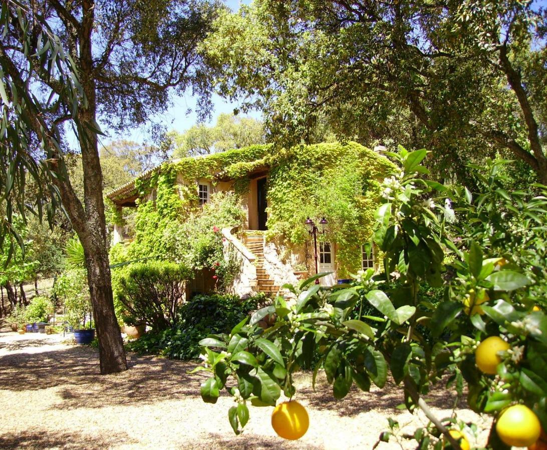 Le Bastidon Saint-Michel Bed & Breakfast Sainte-Maxime Exterior photo